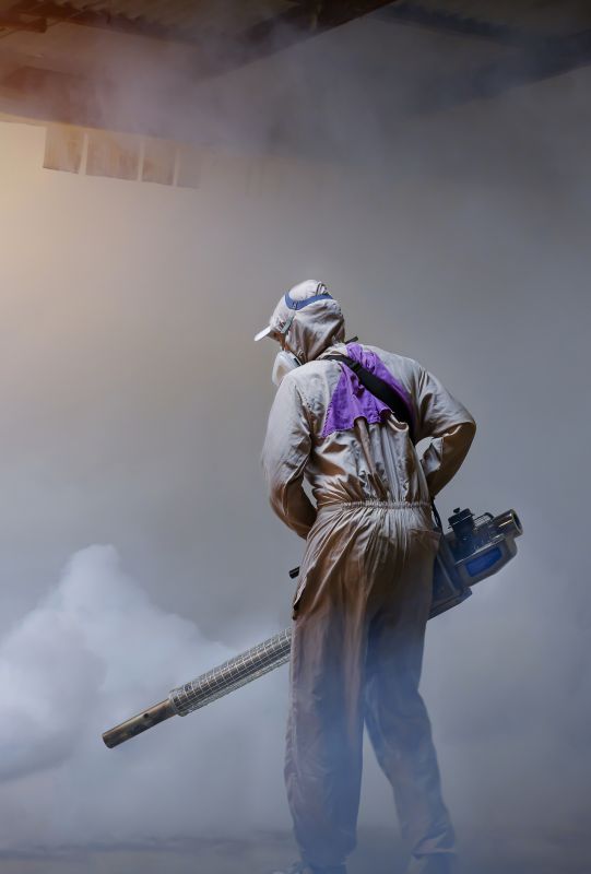 Fumigation Service in Asheville, NC