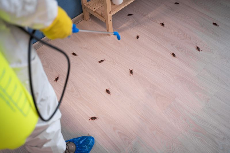 Cockroach Fumigation Service detail