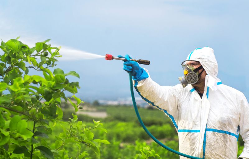 Pest Fumigation Service in Asheville, NC